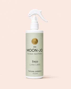 PERFUME AMBIENCE SEJO 500ML