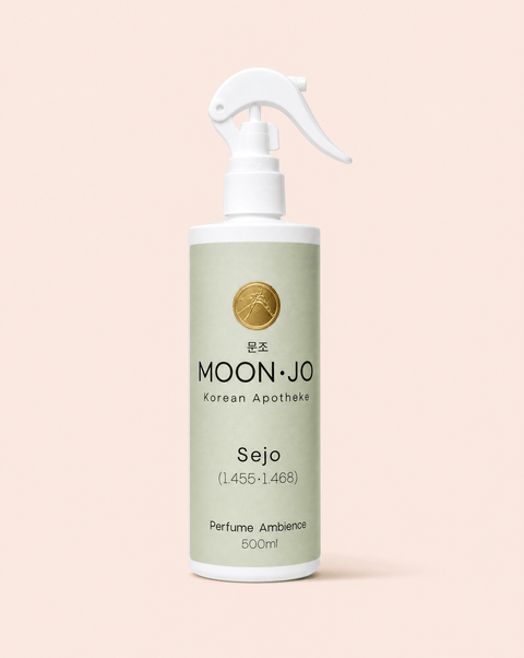 PERFUME AMBIENCE SEJO 500ML