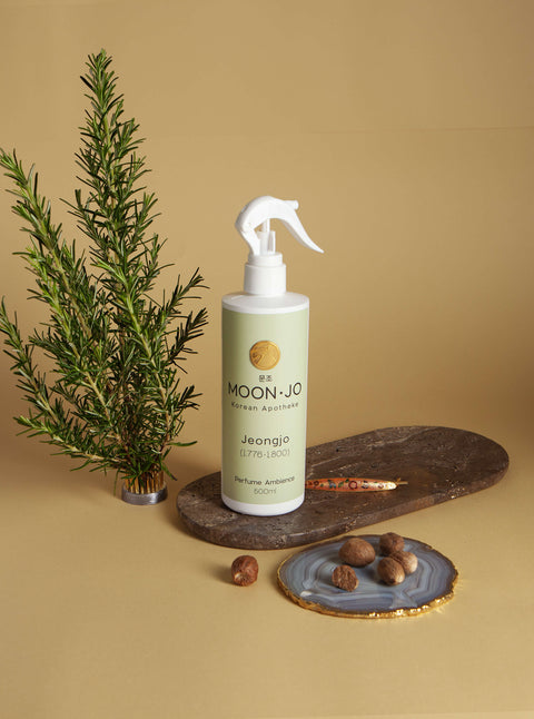 PERFUME AMBIENCE JEONGJO 500ML