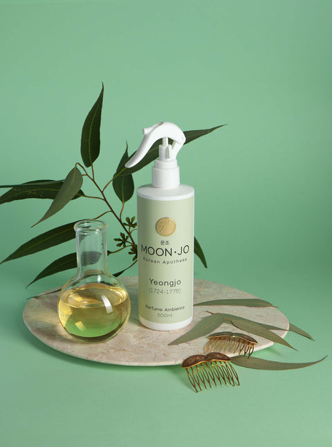 PERFUME AMBIENCE YEONGJO 500ML